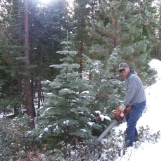 Kenton getting ready to cut our Christmas Tree. Nov. 2009