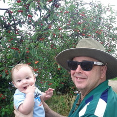 George with Grandpa while picking cherries, July 2013