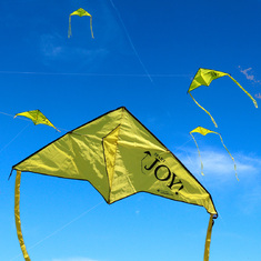Memorial kites THRIVE Holland MI