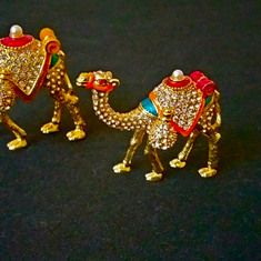 Camels and Kings leaving gifts