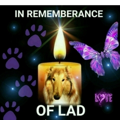 In memory of LAD