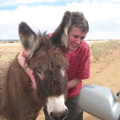 A friendly burro in Rio Puerco, May 2013
