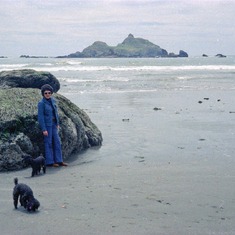 Laila and poodles, Oregon 1970