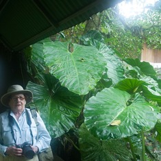 Laila in the jungle - Costa Rica 2008