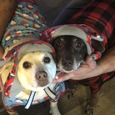Your girls with their Christmas pj’s and hats. 