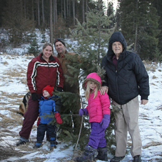 Christmas tree hunt 2013