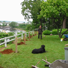 Fence building at Cliff Edge in Annapolis with Barkley supervising