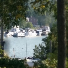 "the Iron Lady" houseboat in the distance through the trees in Picton Marina, 2015.