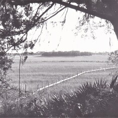 Teal’s boardwalk in South End marsh, Sapelo (early photo)