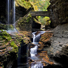 The Glen -- Watkins Glen Gorge and Rainbow Bridge.  (The Pomeroy's Rainbow Shop was at the bottom of this gorge.)