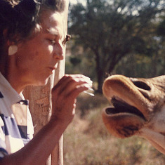 Lee feeding a giraffe in Kenya