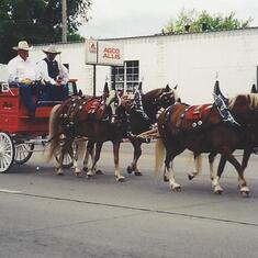LeRoy and son Steve four-up-hitch (Penny, Fanny, Sugar and Babe) during a parade in Norfolk
