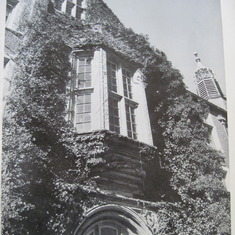 From the Bandersnatch yearbook, 1966 from Scarsdale High School. This is a picture of the ivy that adorned Scarsdale High School at that time.