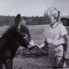 Sandi makes friends with a little donkey, on a trip into The Black Hills.