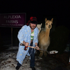 I photo shopped this when lex teased me about shoveling shit on his alpaca farm