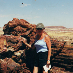 At the petrified forest.