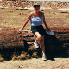 At the petrified forest.