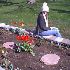 Spring Tulips she planted the bulbs and up they came in the spring.