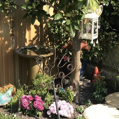 Princess Garden May 2017