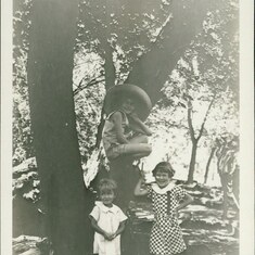 1933 Lois, 10, in tree, sisters Jean & Ruth, by Aunt Carrie,