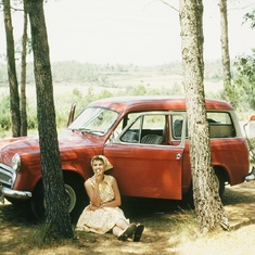 Lunch in a Spanish pine grove. 1958