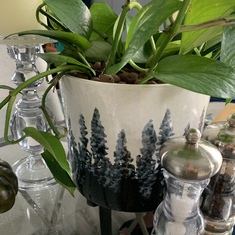 A piece of my money plant & planter I bought & made up for Wesley & Durrell for their new home. 