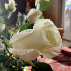 A rose for you in heaven