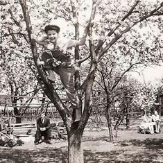 Lorett's up a tree ~ Avoca PA 1944