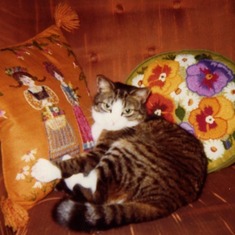 Lorett loved cats, especially our sweet Psyche. Mom was always crafting something ~ she made the feline-friendly pillows ~ late 1970s?