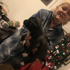Loretta holding one of Gigi & Nippers puppies 