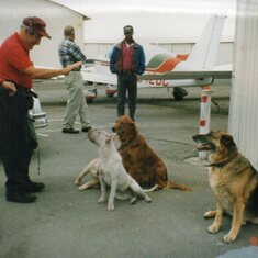 1995 Lou, the great dog discipliner