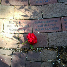 Memorial brick & rose 9-8-12 laid in memory of Papi one year later. It was a very sad day or shall I say week for Michael and me. We loved him with all our heart.