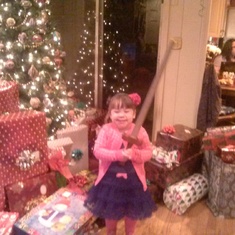 Bella guarding the presents. Nikk daughter, Marie's grandchild.