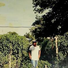 Uncle Joey standing among his massive tomatoe plants.  He had a quiet kindness.