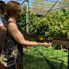 Visit in 2014 to Brevard Zoo and feeding the birds while visiting Chiki and Tommy