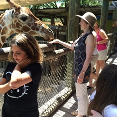 Visit in 2014 to Brevard Zoo and feeding the giraffe while visiting Chiki and Tommy