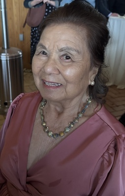 Lourdes Santos Millan