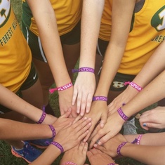 The Forest Hills XC team wore these wrist bands at their first XC meet.  They say "Lydia Lifted Me".  Lydia use to go to their meets and cheer them on.  Lydia, you lifted their spirits then, and you are lifting them up now.  You are soooo loved and missed