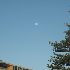 the moon at 6.38am          20 4 11