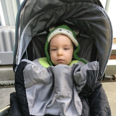 Walk through the neighborhood wearing the cutest little frog hat!