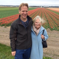 tulip fields, April 2015