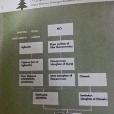 Asemota family tree2