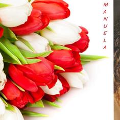 tulipani di Manu