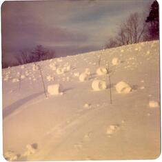 snowrolls 1977