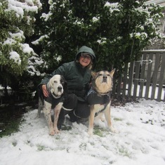 2016: Posing in the wet snow with Daisy and Darwin