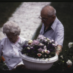 James planted 100+ rose bushes for Margaret.  She loved to go out to gather in the blooms for the house.