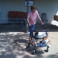 2007   Mom had back surgery and used a walker for a while.  Notice that she also gave 3 dogs a ride each day!