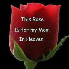 Rose for Mom