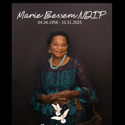 Marie Bessem NDIP