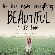 He has made everything beautiful...